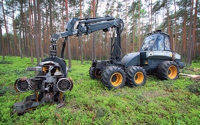  Maszyna Harvester 1270 B obrabia ścięte drzewa w Nadleśnictwie Gidle koło Częstochowy 