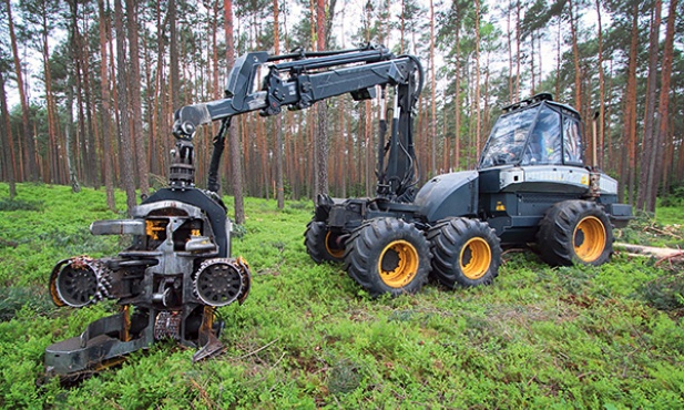  Maszyna Harvester 1270 B obrabia ścięte drzewa w Nadleśnictwie Gidle koło Częstochowy 