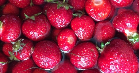 Otyłe dzieci? Koniec przekąsek