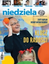 Niedziela 24/2015