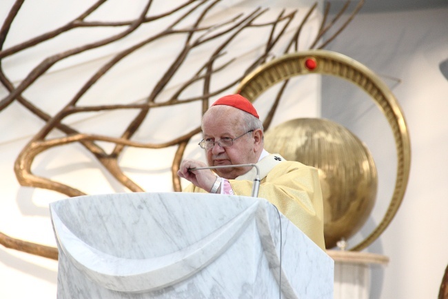 Błogosławieństwo lektorów 2015