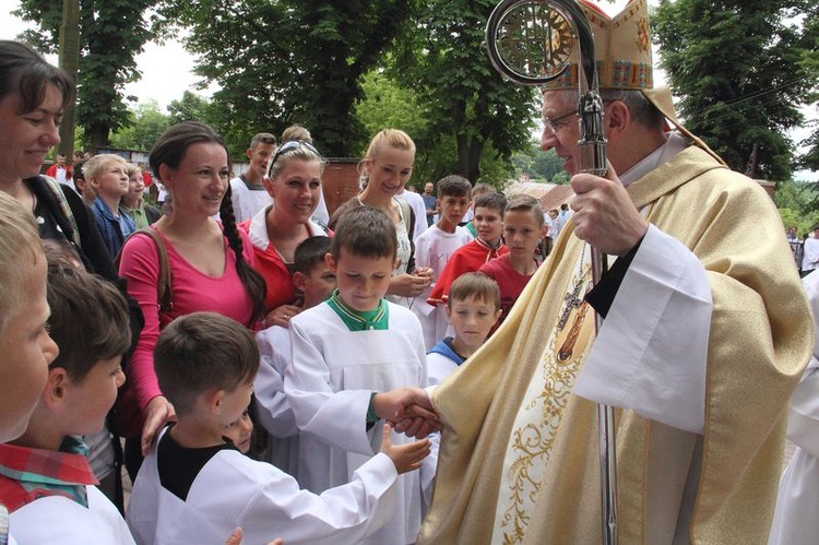 Pielgrzymka ministrantów do Wąwolnicy