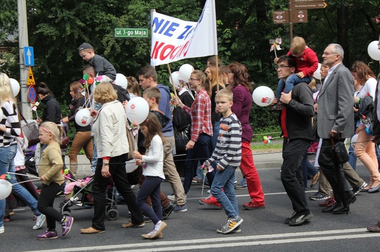 II Marsz dla Życia i Rodziny w Bielsku-Białej - cz. 2