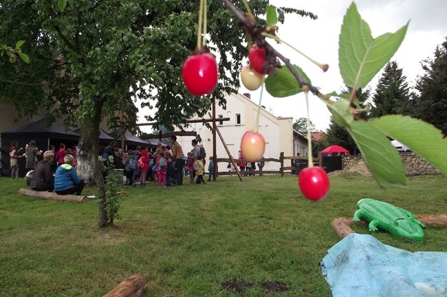 Amerykańskie klimaty w Gniechowicach