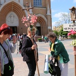 Pielgrzymka trzeźwościowa do Niepokalanowa