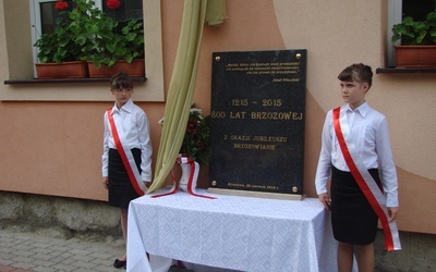 Jubileusz w Brzozowej