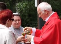 Podczas Eucharystii wierni przyjmowali Komunię św. pod dwiema postaciami