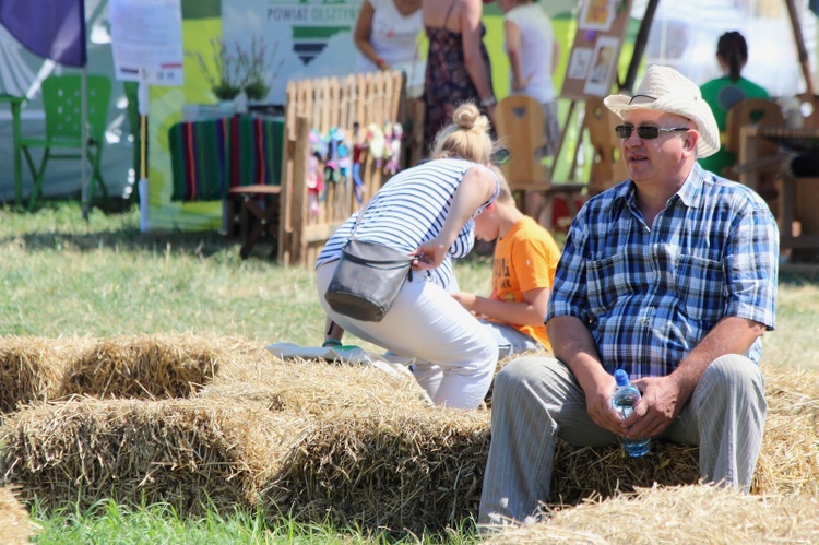 Trakt biskupi - Bałdy 2015