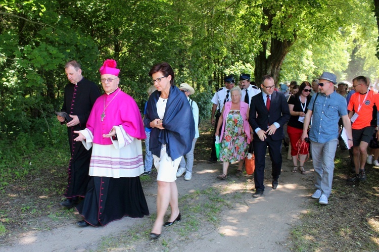 Trakt biskupi - Bałdy 2015