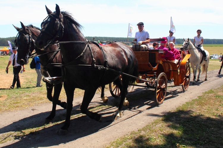 Trakt biskupi - Bałdy 2015