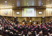 Za kilka miesięcy zebrani na synodzie biskupi po raz kolejny będą debatować o problemach rodziny. Na zdjęciu otwarcie ubiegłorocznego synodu poświęconego temu tematowi