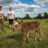     Anna Gonsowska z córką Angeliką doglądają na łące  nowo narodzonych cielaków 