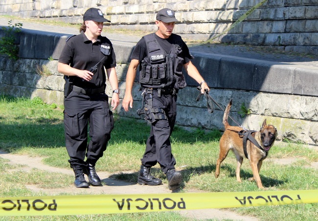 Ćwiczenia krakowskich służb