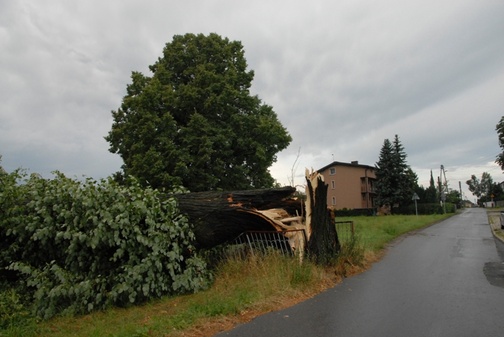 Śląskie: bilans wichury