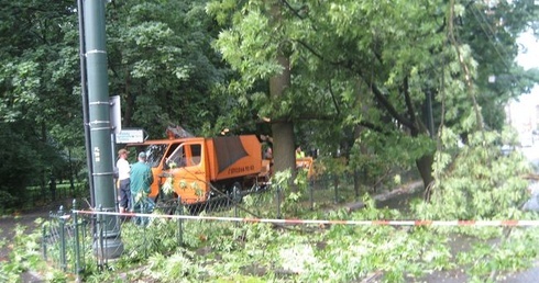 Skutki wichury na krakowskich Plantach