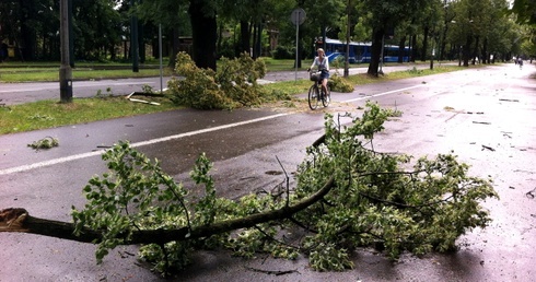 Małopolska po wichurze