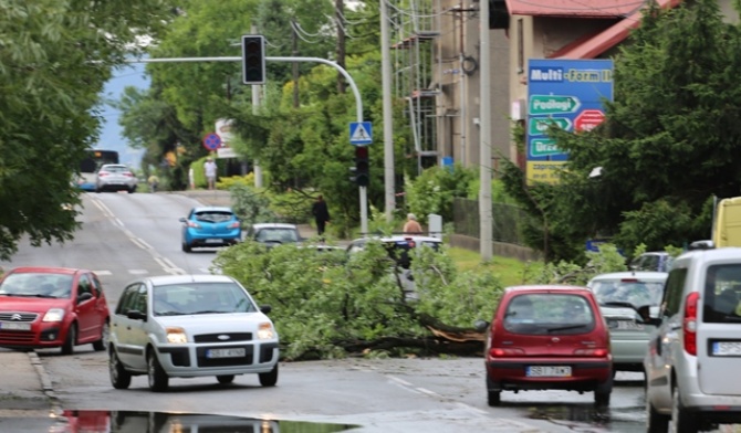 Powalone drzewa całkowicie lub częściowo zablokowały drogi