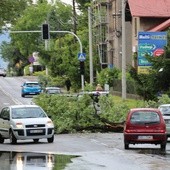 Powalone drzewa całkowicie lub częściowo zablokowały drogi