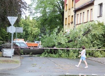 Przewrócone drzewo zablokowało ulicę w centrum Czechowic-Dziedzic