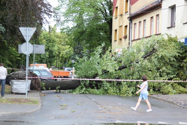 Przewrócone drzewo zablokowało ulicę w centrum Czechowic-Dziedzic