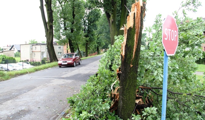 Śląskie: bilans wichury