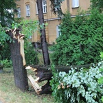Po huraganie w Czechowicach-Dziedzicach