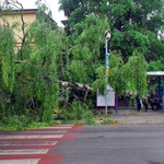 Kraków po wichurze