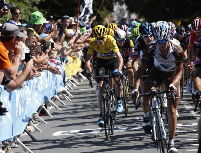 Goryl kręci z rekinem, motyl wieje przed skarabeuszem...