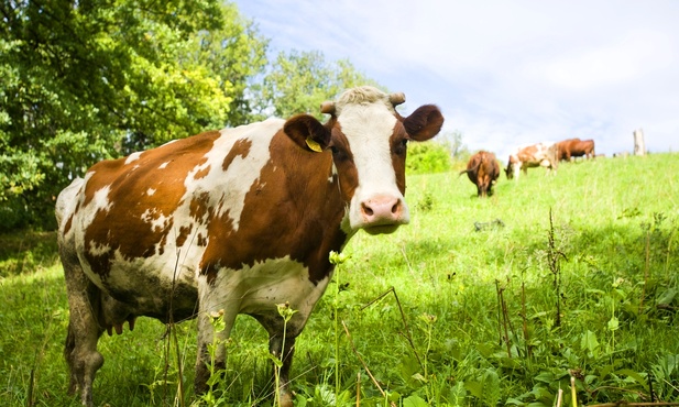 Modlitwa prowadząca do Boga