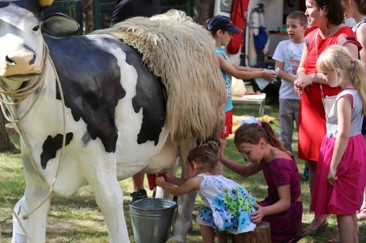 Piknik Rodzinny w bielskiej parafii NSPJ