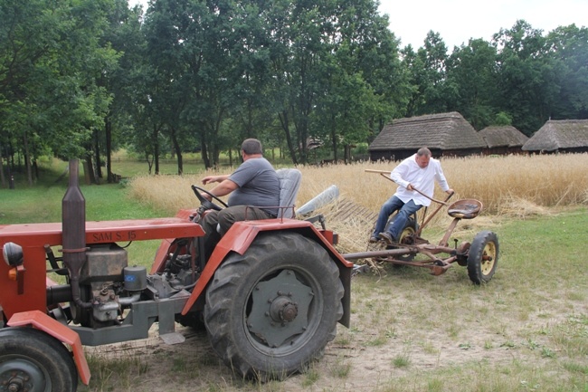 Żniwa w skansenie