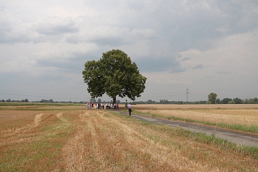 Otwarcie nowych ścieżek św. Jakuba