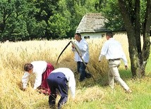  Takich żniwiarzy można zobaczyć chyba już tylko w skansenie