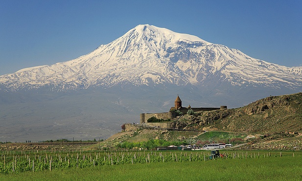 Pies, który czterokrotnie zdobył Ararat