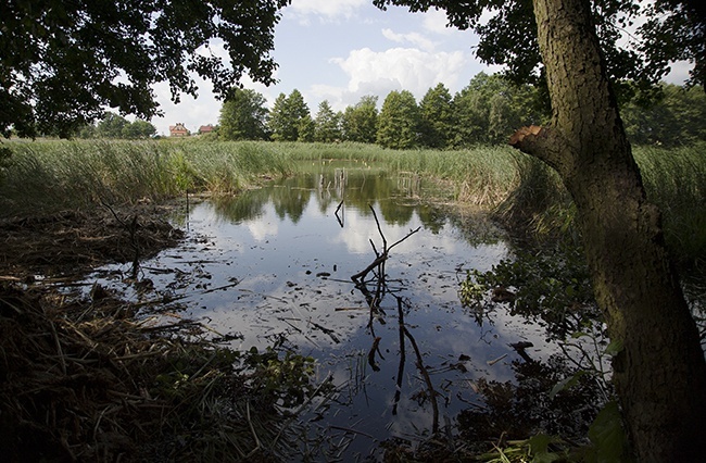 Archeolodzy w Nętnie