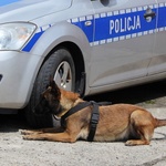 Eliminacje do Kynologicznych Mistrzostw Policji