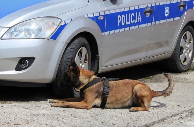 Eliminacje do Kynologicznych Mistrzostw Policji