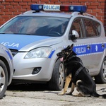 Eliminacje do Kynologicznych Mistrzostw Policji