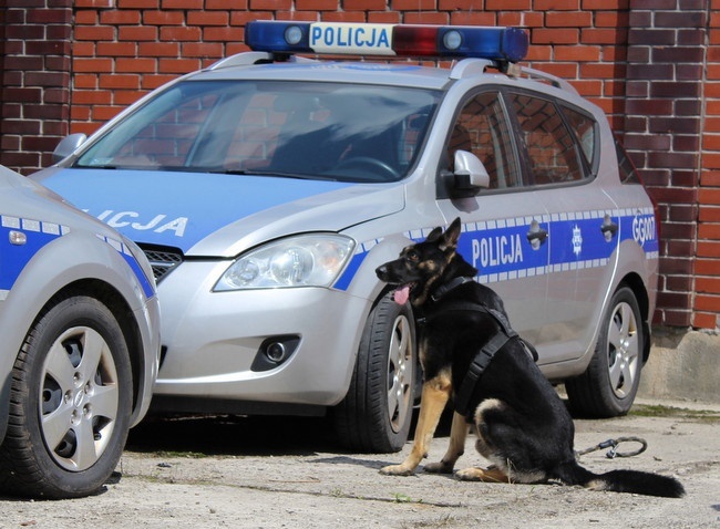 Eliminacje do Kynologicznych Mistrzostw Policji