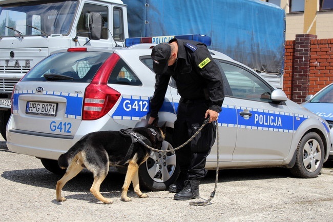 Eliminacje do Kynologicznych Mistrzostw Policji