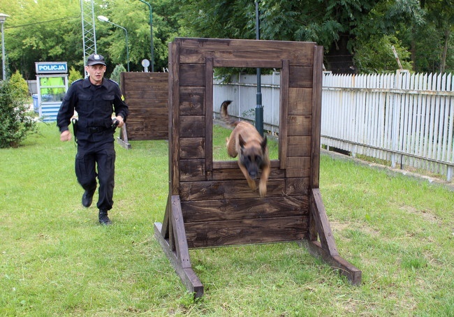 Eliminacje do Kynologicznych Mistrzostw Policji