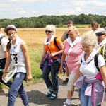 70. Pielgrzymka Rybnicka - dzień pierwszy - w drodze