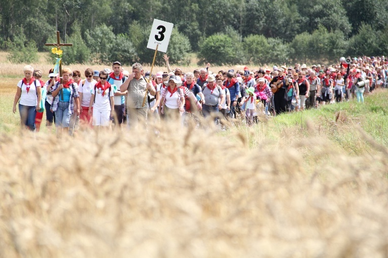 70. Pielgrzymka Rybnicka - dzień pierwszy - w drodze