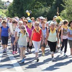 70. Pielgrzymka Rybnicka - dzień drugi - w drodze