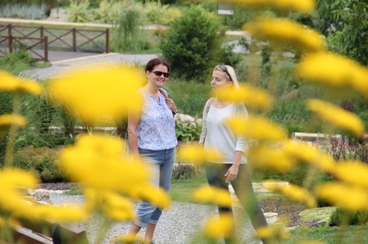 Śląski Ogród Botaniczny - nowa część
