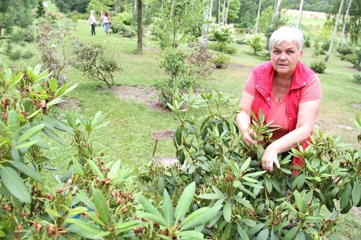 Śląski Ogród Botaniczny - nowa część