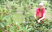 Śląski Ogród Botaniczny - nowa część