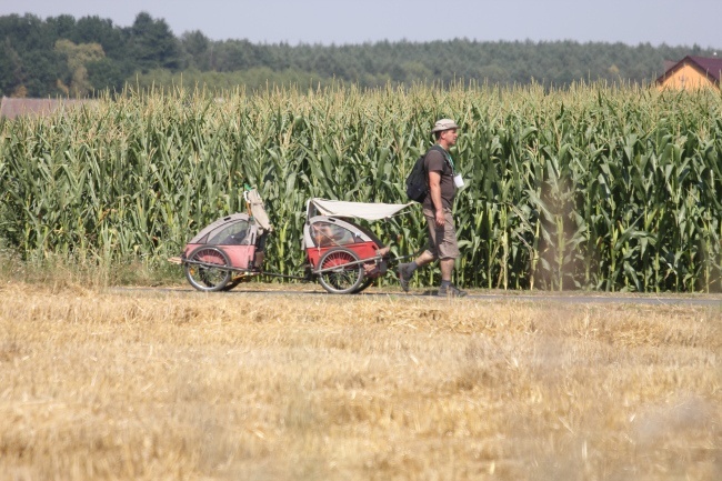 Smażing przed Jełową