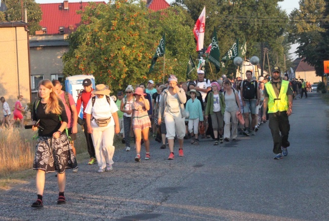 Z Borek Wielkich w stronę lasu za Dąbrową