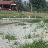 Odra po kolana